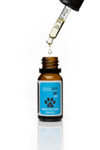cbd-oil-for-dogs-10% cbd oil for dogs 10%