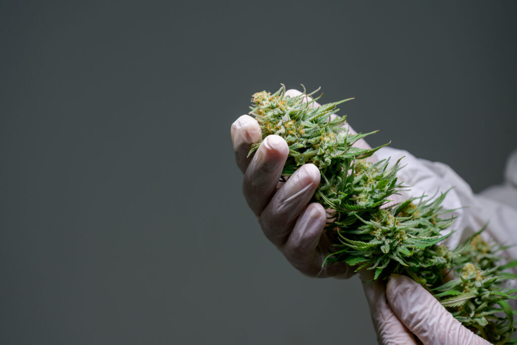 Home Cannabinoids are not a single ingredient; they are a diverse family of naturally occurring active compounds found within the hemp plant.
